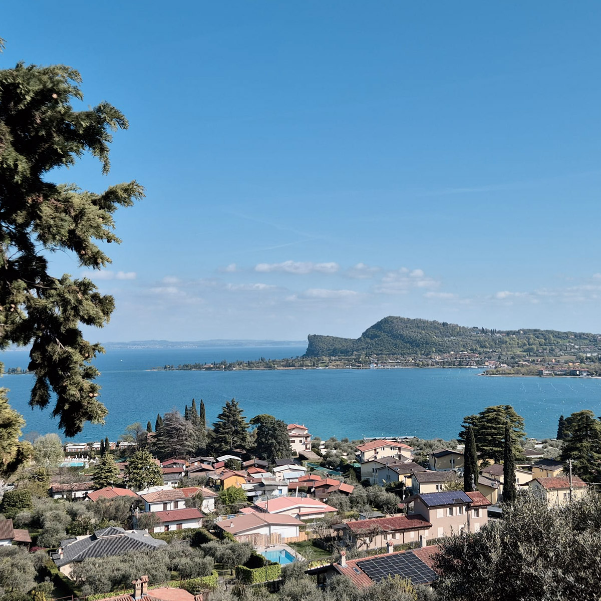 banner-manerba-00 https://eventidelgarda.it/wp-content/uploads/2026/03/banner-manerba-00.jpg